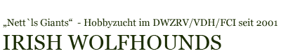 Irish Wolfhounds - "Nett`ls Giants" - Hobbyzucht im DWZRV/VDH/FCI seit 2001